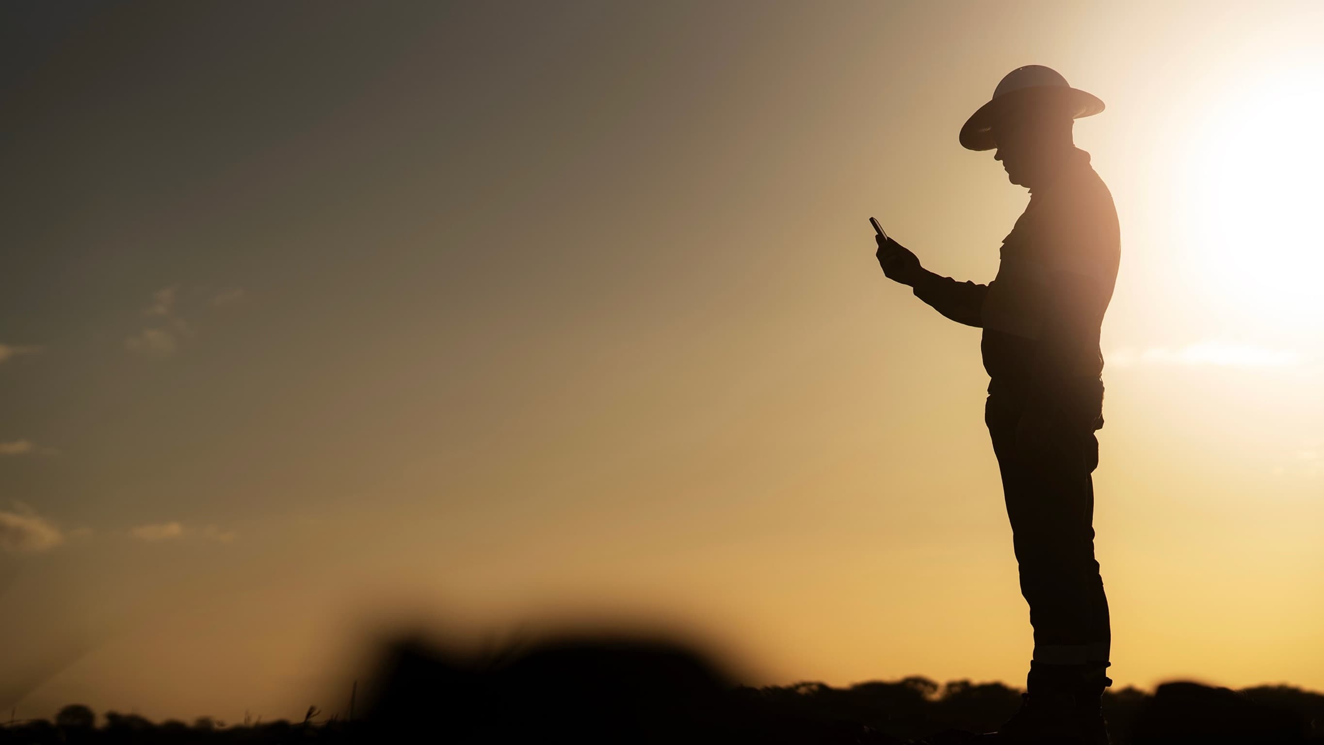 Field worker using a mobile device at sunset.